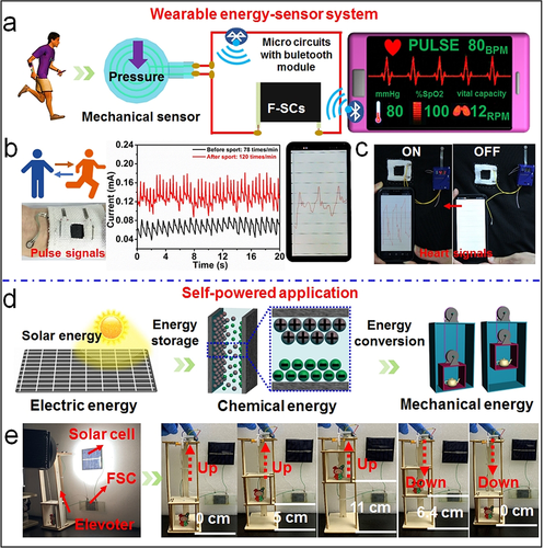 anie202011523-fig-0005-m.png